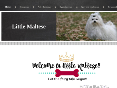 littlemaltese.com.png