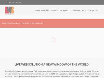 livewebsolution.com.png