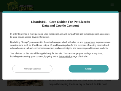 lizards101.com.png