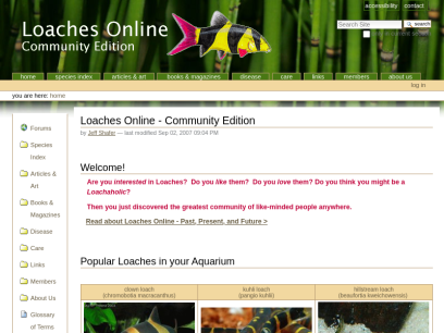 loaches.com.png