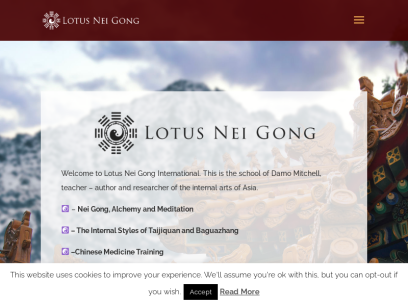 lotusneigong.com.png