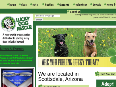 luckydogrescue.org.png