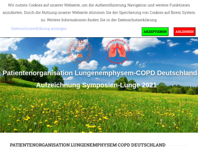 lungenemphysem-copd.de.png