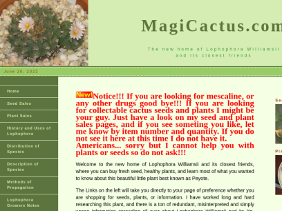 magicactus.com.png