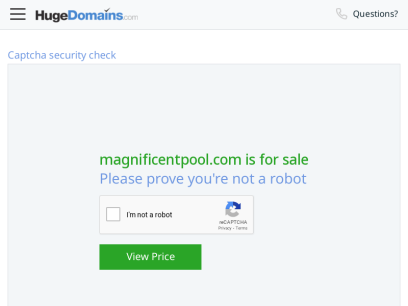 magnificentpool.com.png