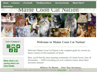 maine-coon-cat-nation.com.png
