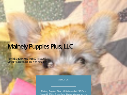 mainelypuppies.com.png