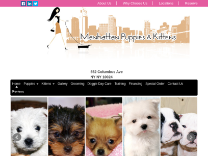 manhattan-puppies.com.png