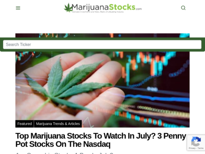 marijuanastocks.com.png