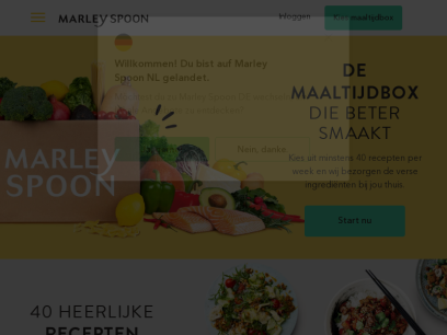 marleyspoon.nl.png