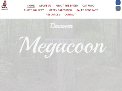 megacoon.com.png