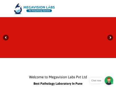 megavisionlabs.com.png