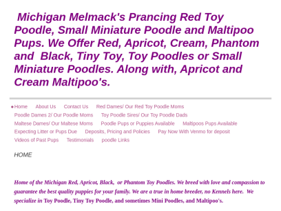 melmacksprancingpoodles.com.png