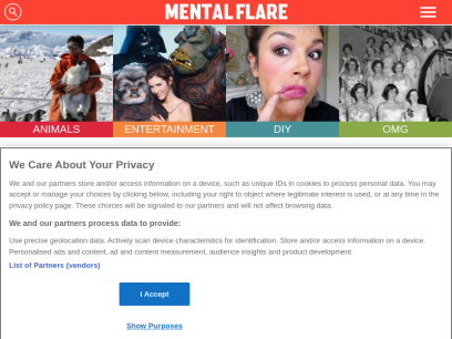 mentalflare.com.png