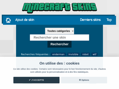 minecraft-skins.fr.png