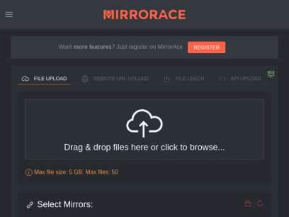 mirrorace.org.png