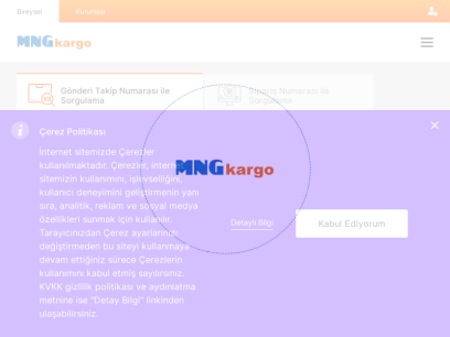 mngkargo.com.tr.png