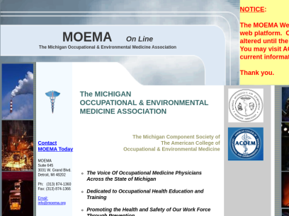 moema.org.png