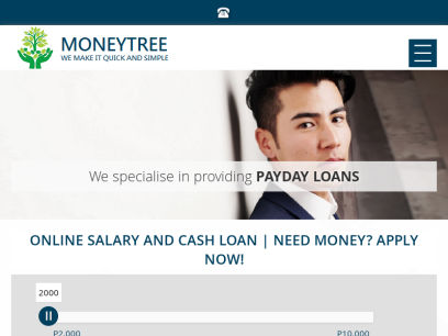 moneytreequickloan.com.png