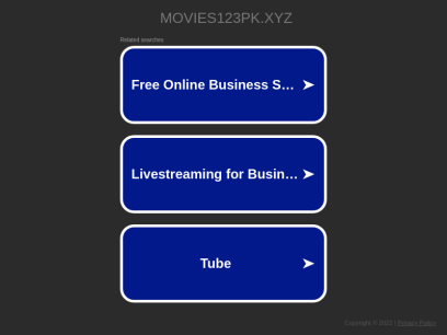 movies123pk.xyz.png