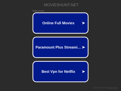 movieshunt.net.png
