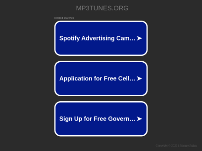 mp3tunes.org.png