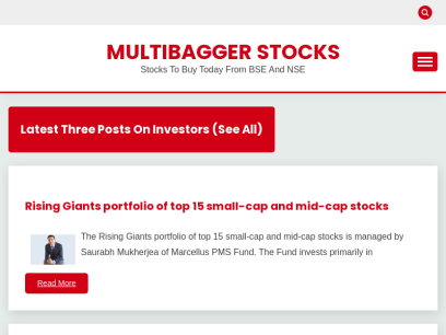 multibaggerstocks.org.png