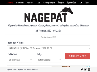 nagepat.com.png