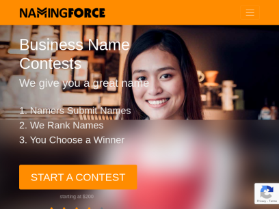 namingforce.com.png