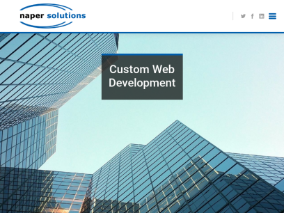 napersolutions.com.png