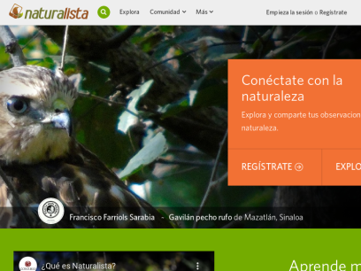 naturalista.mx.png