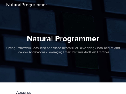 naturalprogrammer.com.png