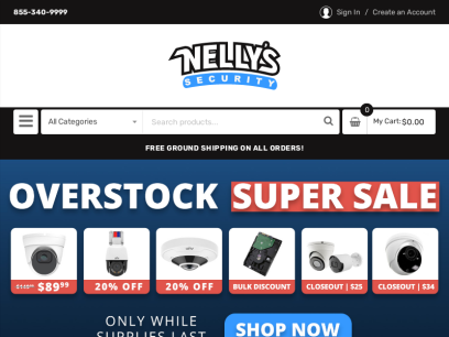 nellyssecurity.com.png