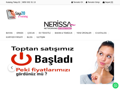 nerissanetworking.com.png