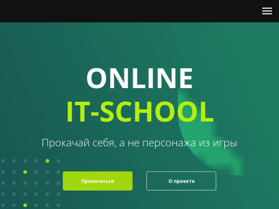 netskills.ru.png