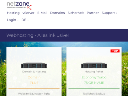 netzone.ch.png