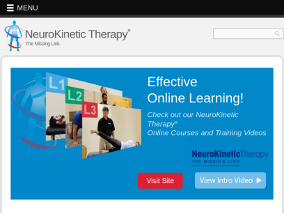 neurokinetictherapy.com.png