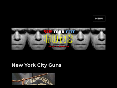 newyorkcityguns.com.png