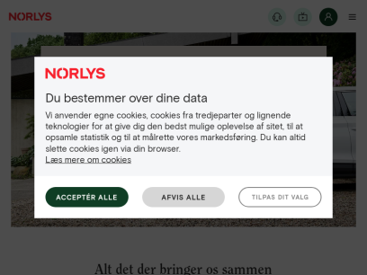 norlys.dk.png