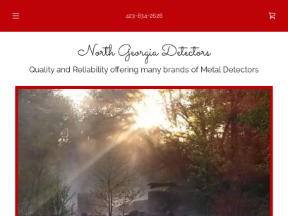 northgeorgiadetectors.com.png