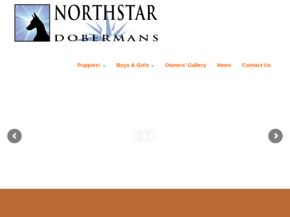 northstardobermans.com.png