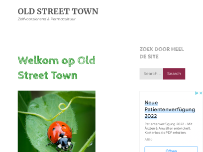 oldstreettown.com.png