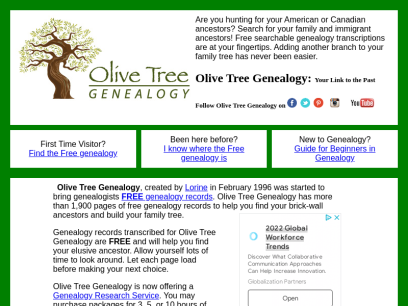 olivetreegenealogy.com.png