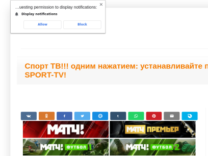 online-allsport.ru.png