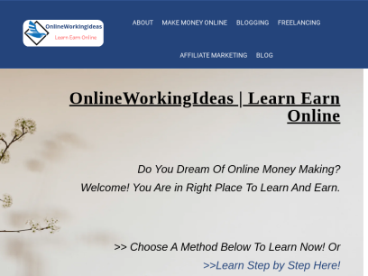 onlineworkingideas.com.png