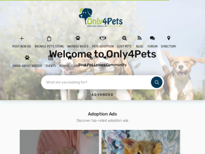 only4pets.com.png