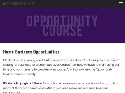 opportunitycourse.com.png