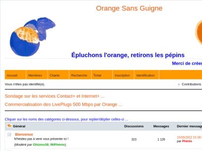 orange-sans-guigne.com.png