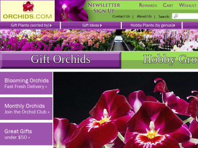 orchids.com.png