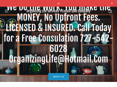 organizinglifeservices.com.png